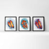 4 Chamber Heart in Scarlet Watercolor Print Set of Three