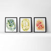 4 Chamber Heart in Bright Colors Watercolor Print Set of Three