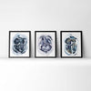 4 Chamber Heart in Neutrals Watercolor Print Set of Three