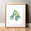 Albumin Watercolor Print