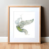 Ampulla of Vater Watercolor Print