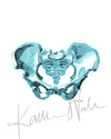 Pelvis Watercolor Print