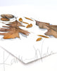 Brown Fall Leaves Watercolor Print