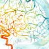 Rainbow Cerebral Angiography Watercolor Print