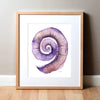 Purple Cochlea Watercolor Print