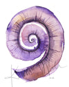 Purple Cochlea Watercolor Print