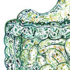 Zoomed in view of a watercolor painting of the stomach and intestines showing the internal gut microbiome.