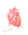 Anatomical Heart Watercolor Print