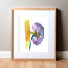 Bright Kidney Watercolor Print