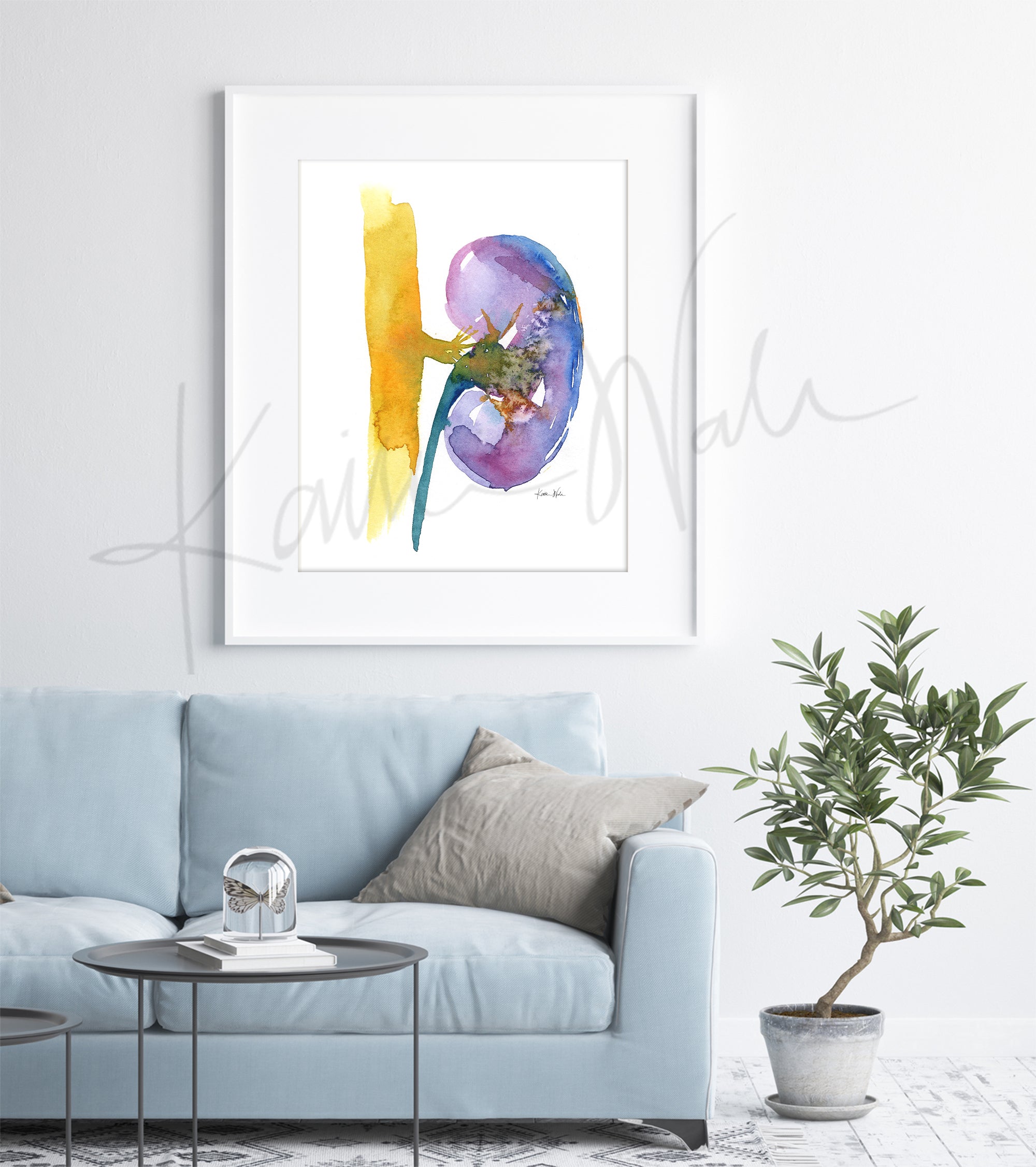 Bright Kidney Watercolor Print