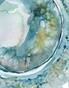 Ovum and Corona Radiata Watercolor Print