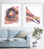 Eye and Orbit Watercolor Print Set