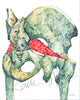 Piriformis Watercolor Print