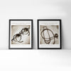 Framed watercolor painting set of a Littmann stethoscope and antique dental loupes.