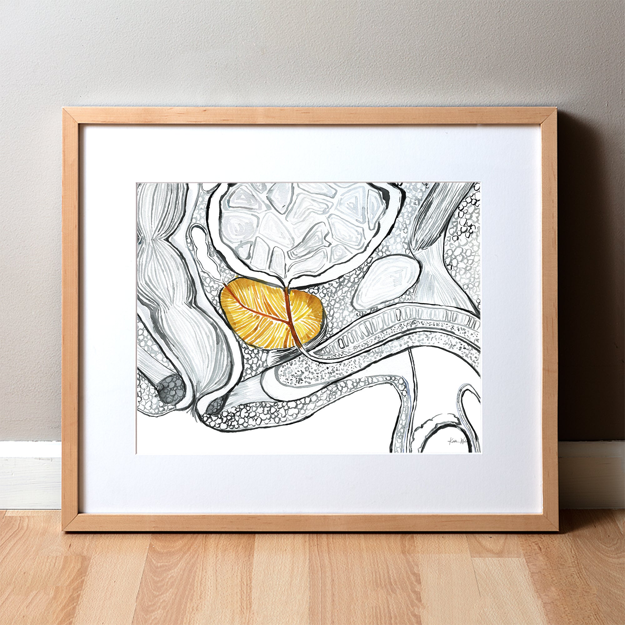 Prostate Watercolor Print