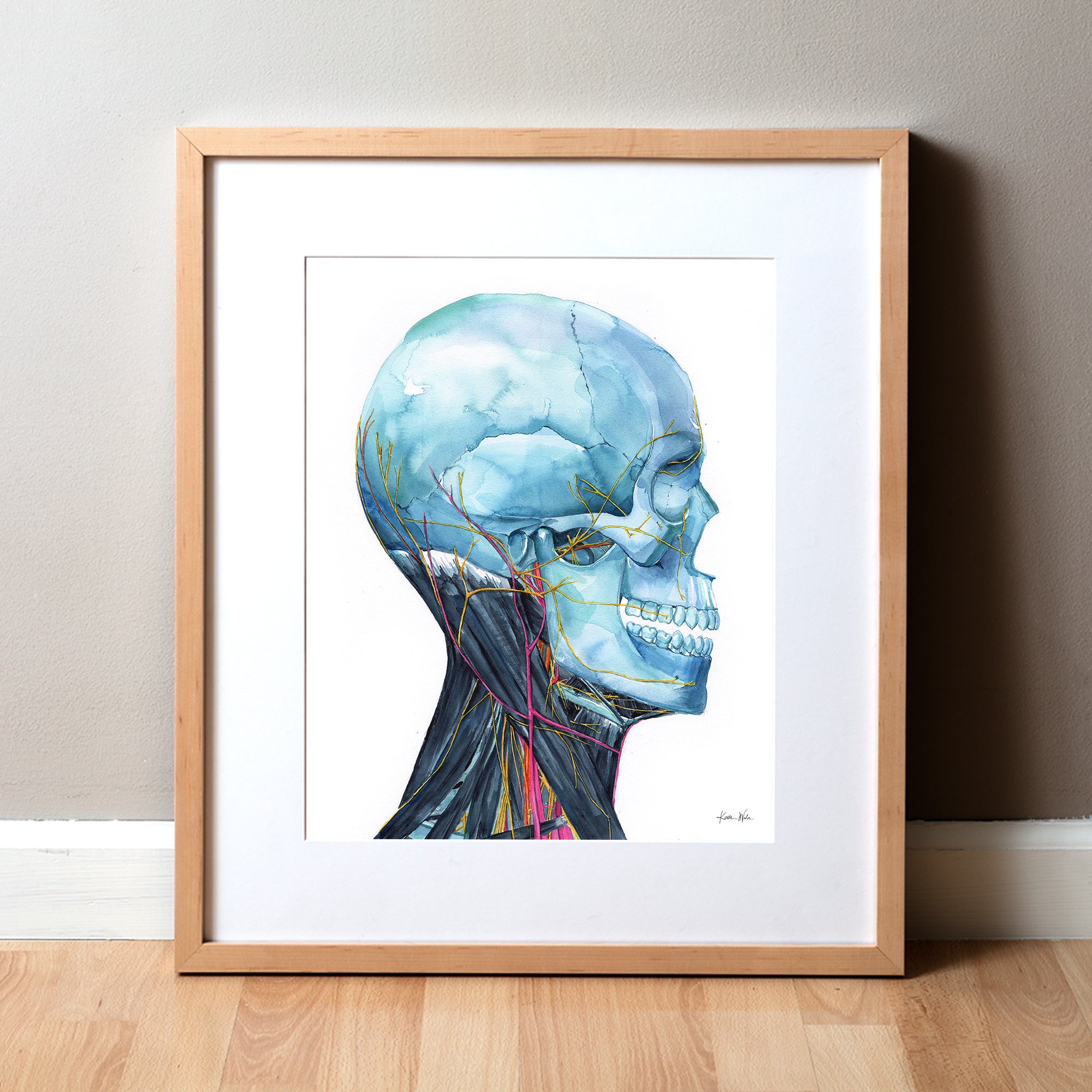 Skull and Neck Anatomy Right View Watercolor Print