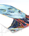 Skull and Neck Anatomy Frontal View Watercolor Print