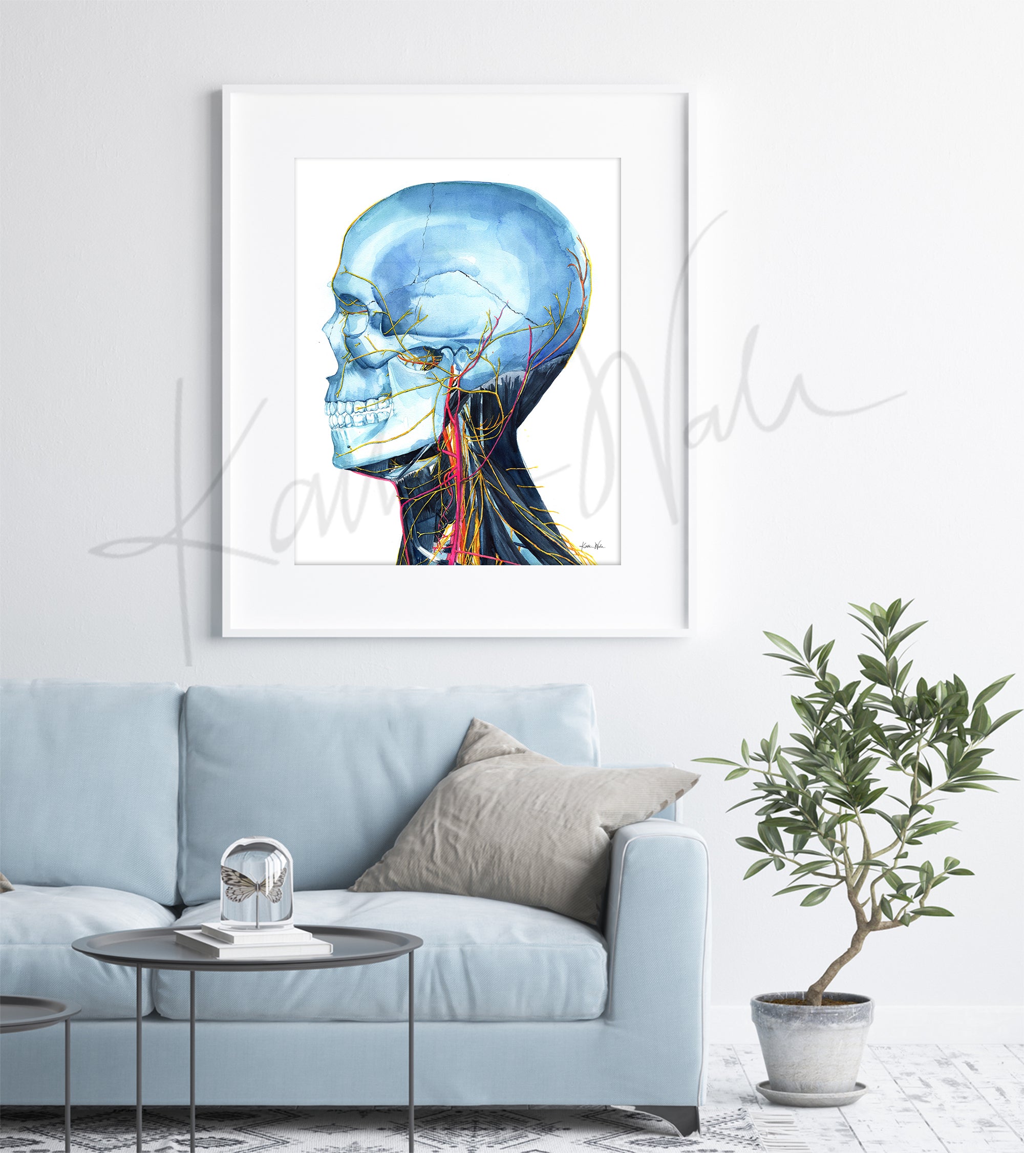 Skull and Neck Anatomy Left View Watercolor Print