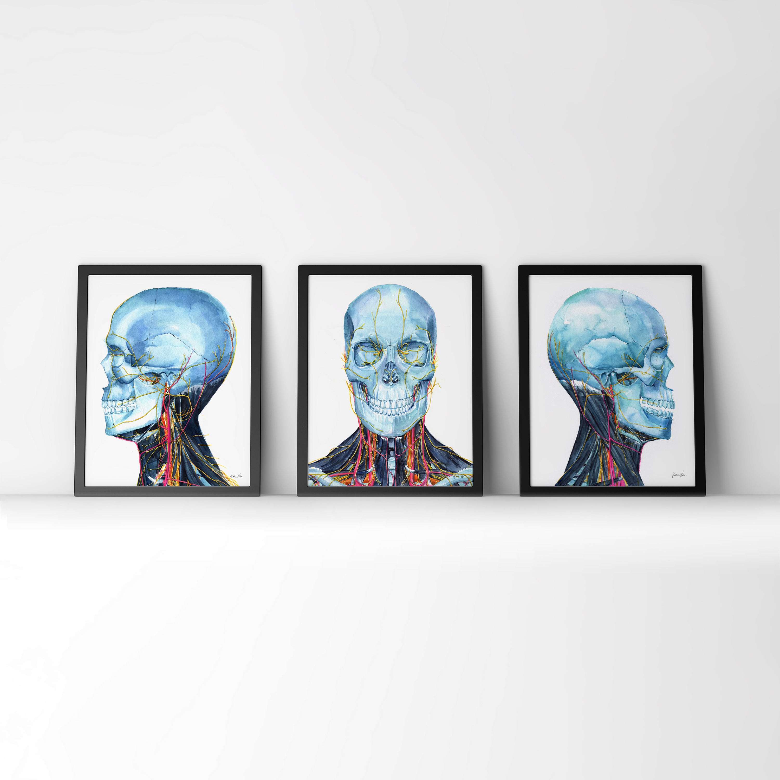 Skull and Neck Anatomy Watercolor Print Set of Three