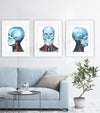 Skull and Neck Anatomy Watercolor Print Set of Three