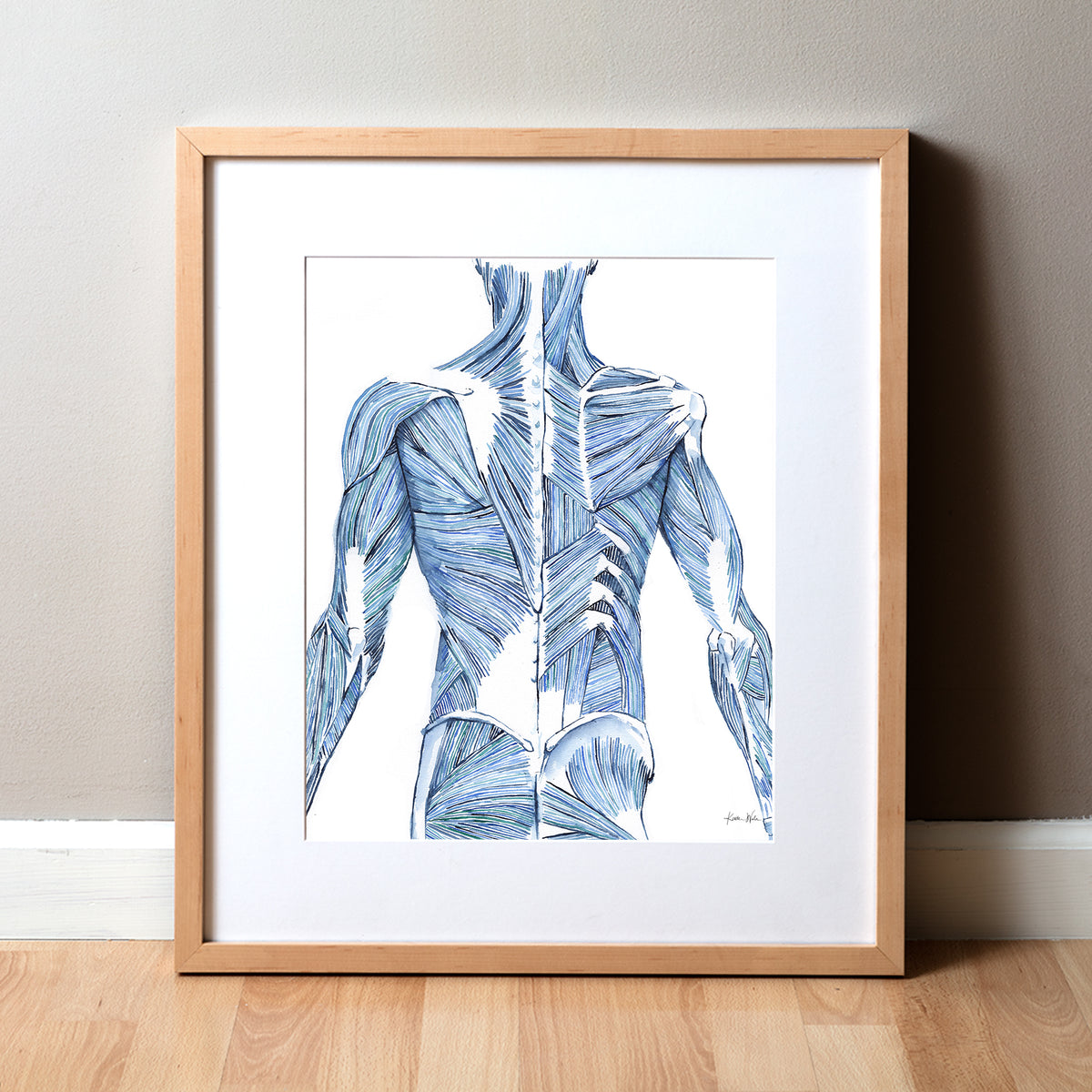 Striated Back Muscles Watercolor Print – Lyon Road Art