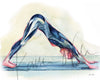 Unframed watercolor painting of a woman doing a down dog yoga pose and shows her muscular anatomy within the pose. 