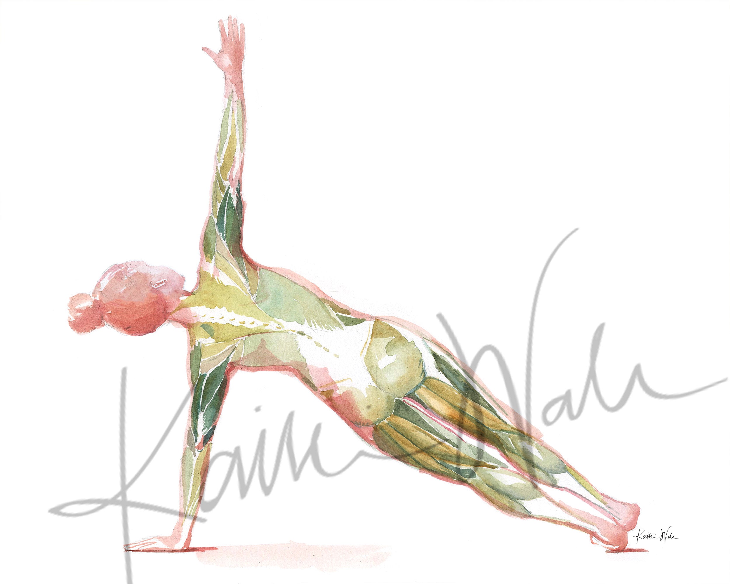 Balanced Anatomy Watercolor Print Yoga Art Mindfulness Painting - Etsy