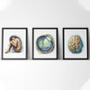 Eye Mind Body Connection Watercolor Set Print