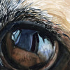 Zoomed in view of a watercolor painting of a zoomed in perspective of a dog’s eye. The painting is in blacks, tans, and browns.