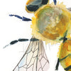 Bee Watercolor Print