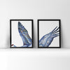 Framed watercolor diptych of a crane's wings.