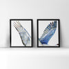 Framed watercolor diptych of a crane's wings.