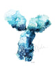 Blue Antibody Watercolor Print