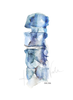 Blue Spine Print Set Watercolor