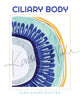  Unframed contemporary poster design of the ciliary body in teal, royal blue, orange, and yellow.