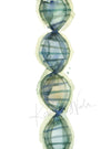 Dna Watercolor - Original