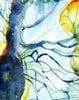 Close Up Anatomical Watercolor Print of Arteriogram