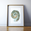 Cochlea Print Watercolor