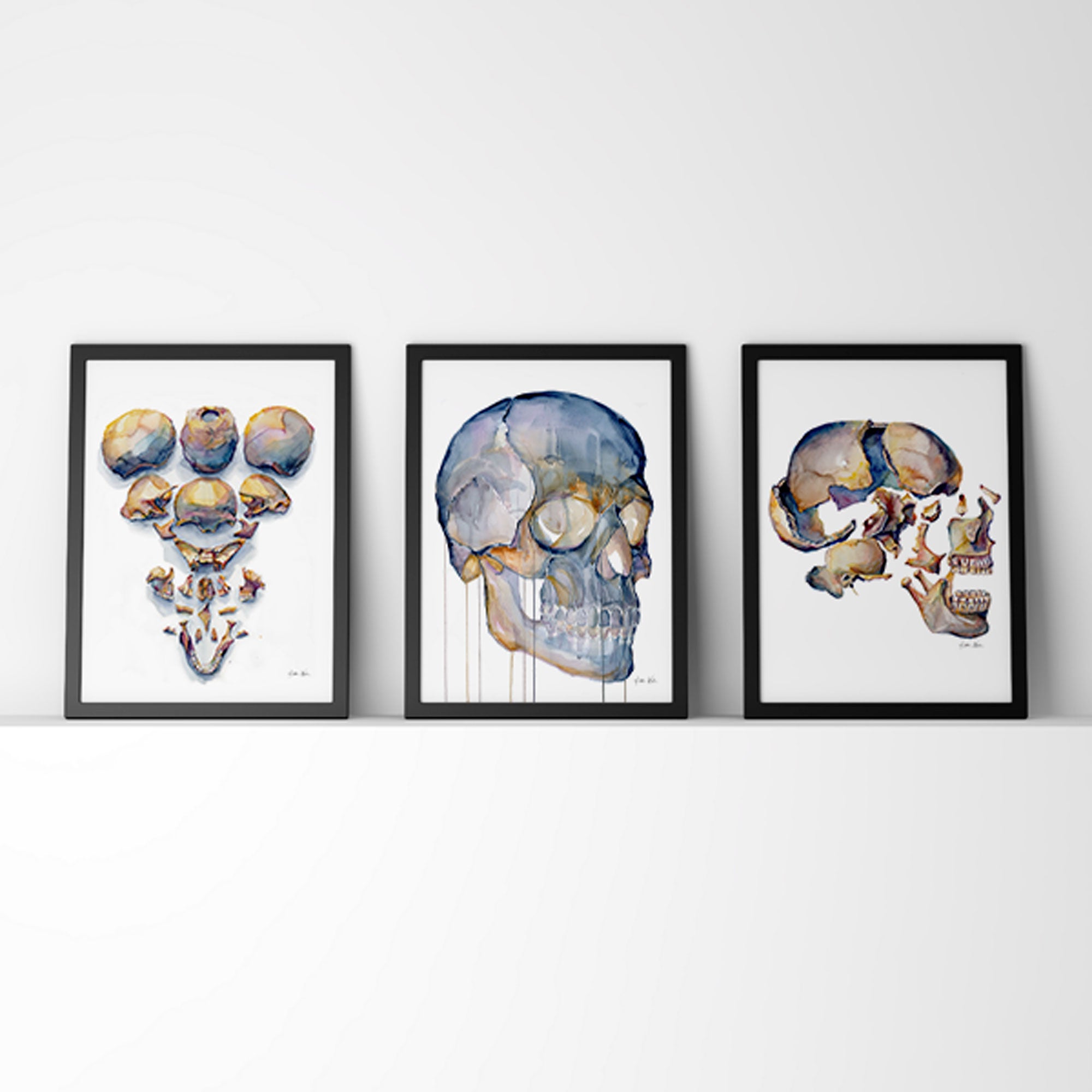 Human Skull and Bones available as Framed Prints, Photos, Wall Art and  Photo Gifts