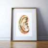 Ear Watercolor Print