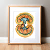 Framed watercolor painting of a kidney dissection in yellows, oranges, and teals.