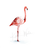 Flamingo Print Set Watercolor