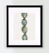 Dna Watercolor - Original