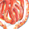 Close up view of a glomerulus in scarlets, oranges, and yellows.