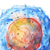 Zoomed in view of a watercolor painting of a natural killer cell.