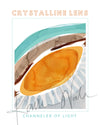 Unframed contemporary poster design of the lens in teal, brown, orange, and gray.