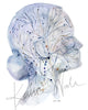 Unframed watercolor painting of a head and neck showing the lymphatic system.