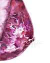 Mammogram In Magenta Print Watercolor