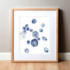 Mott Cells Watercolor Print