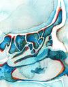 Sagittal Sinuses Print Watercolor